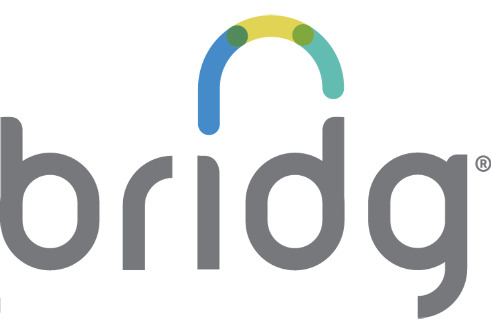 bridge logo